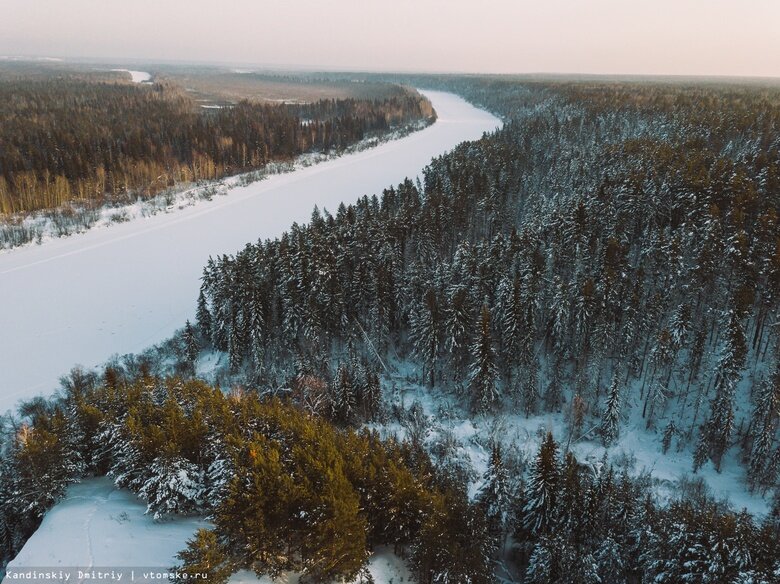    Фото: Дмитрий Кандинский / vtomske.ru