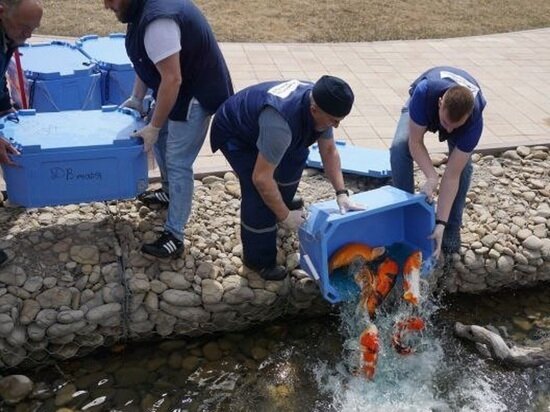 ФОТО: ПРИМОРСКИЙ ОКЕАНАРИУМ 