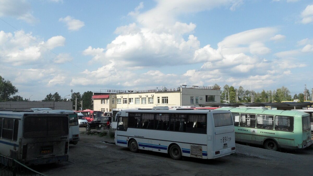     Горожанка пожаловалась на скопления мусора недалеко от остановки.