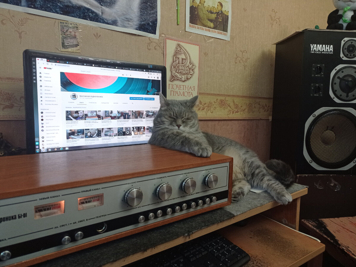 Василич заслушался 