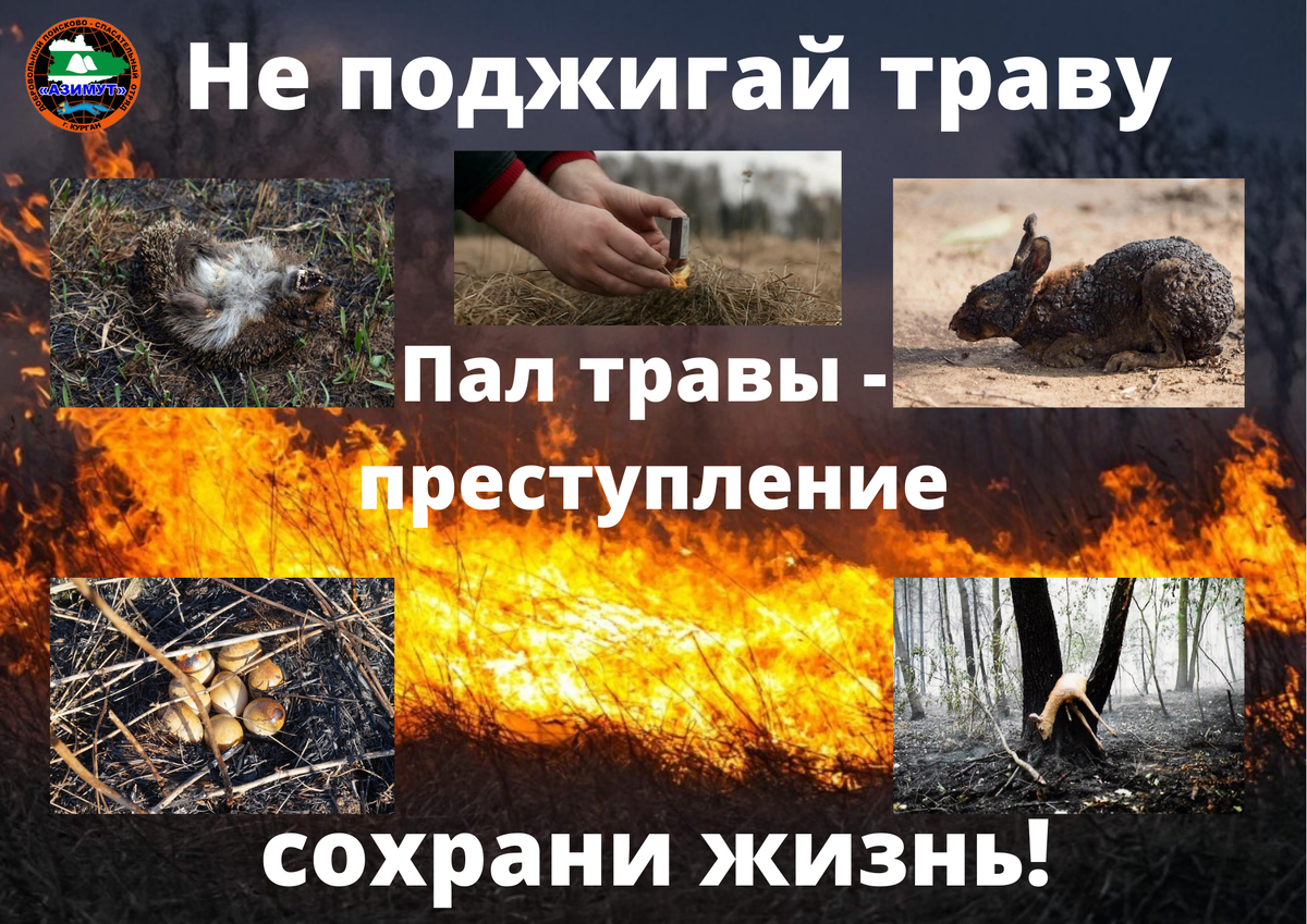 Не поджигай траву. Памятка отряда Азимут.