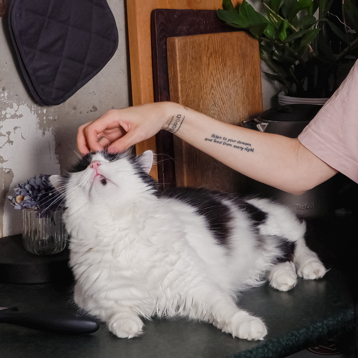 Даже котикам нужно двигаться:)