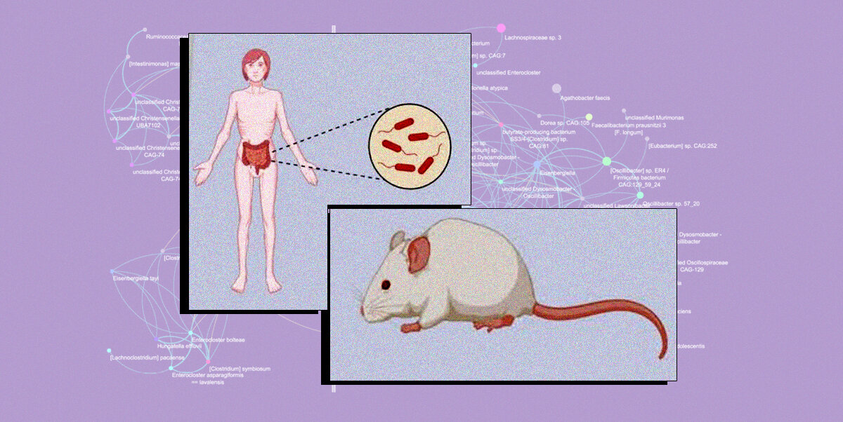   N + 1; Yong Fan et al. / Nature Microbiology, 2023