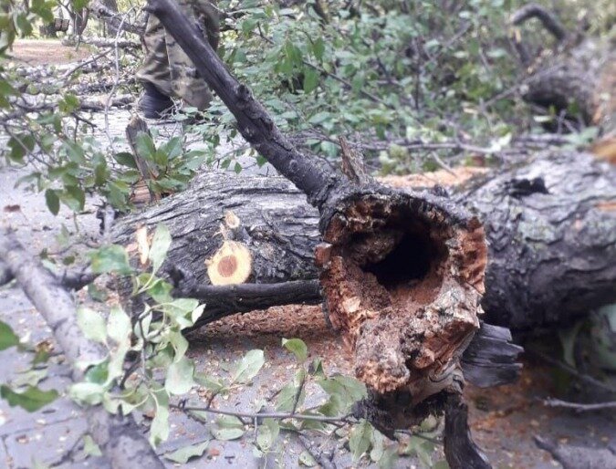    Фото: администрация Благовещенска