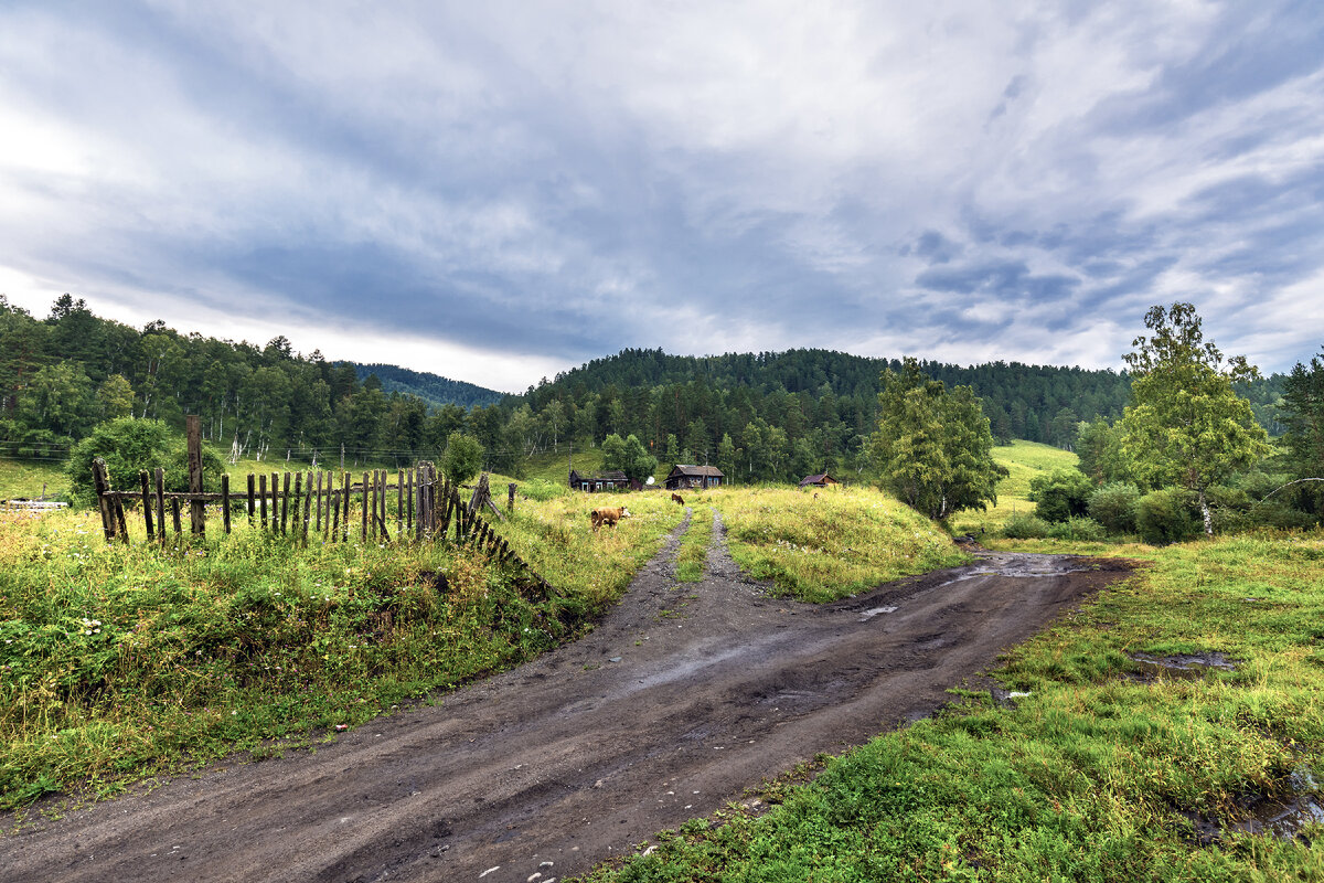 Село Нижний Куюм. Чемальский район 
