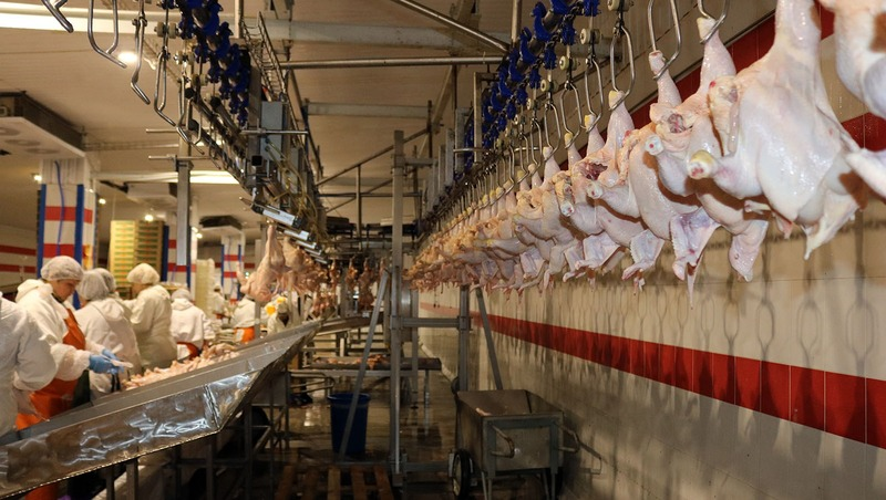 Фото: Пресс-служба Минэкономразвития СК/