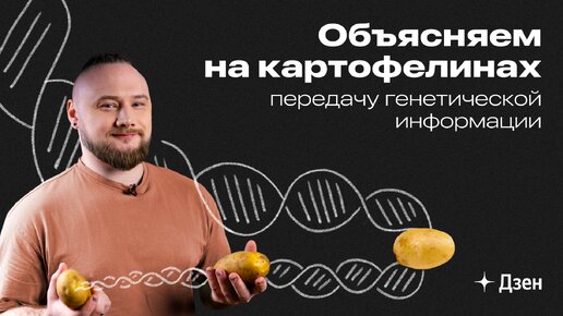 Объясняем на картофелинах, как передаётся генетическая информация и как мы становимся такими, какие мы есть