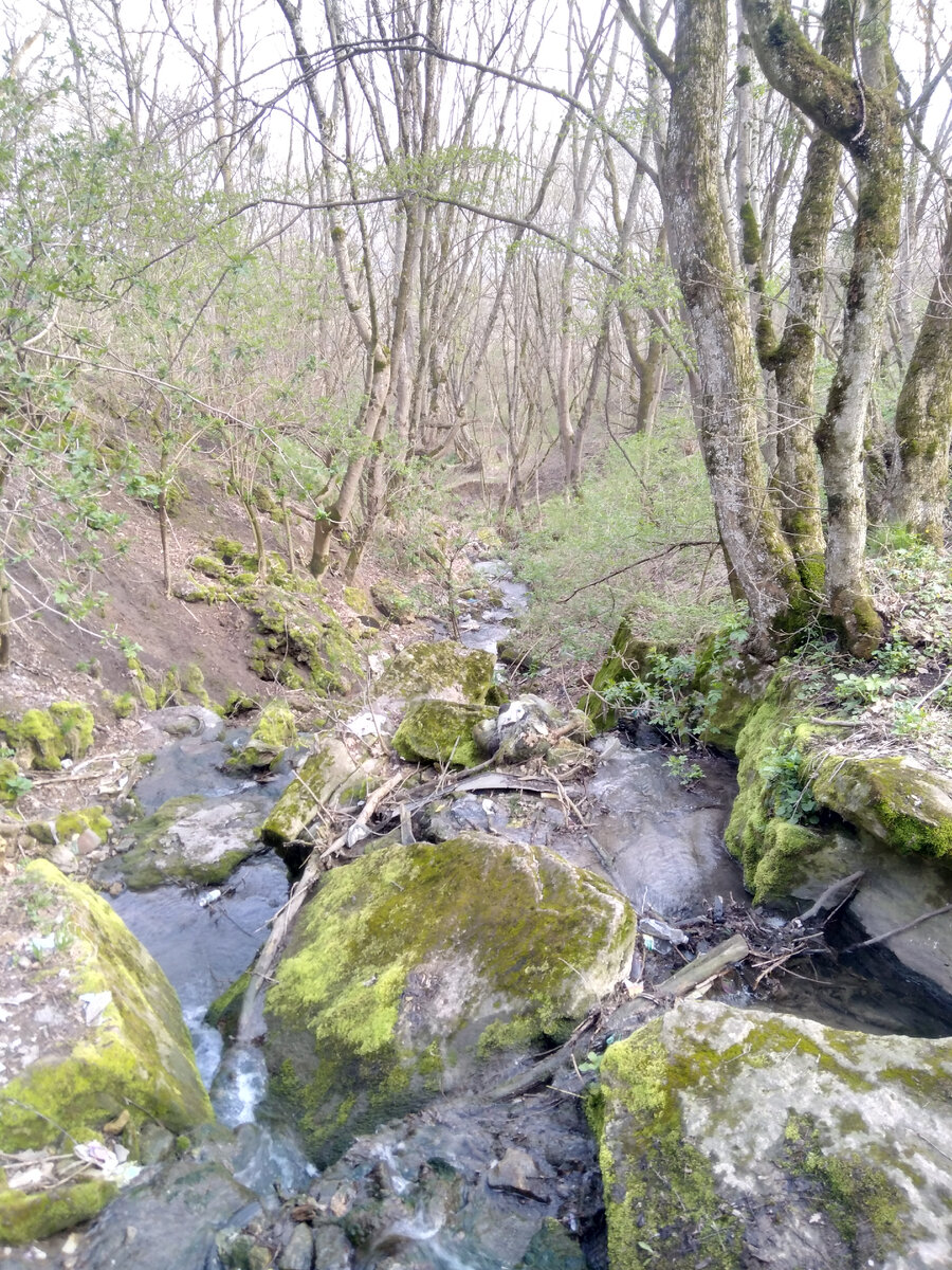 Фотография эта и дальше автора