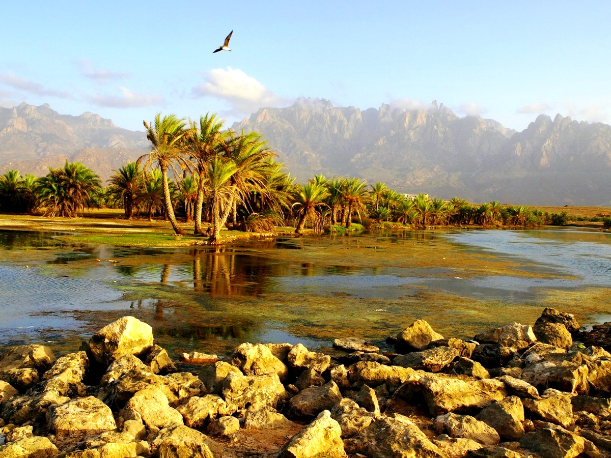Остров Сокотра, Йемен.
