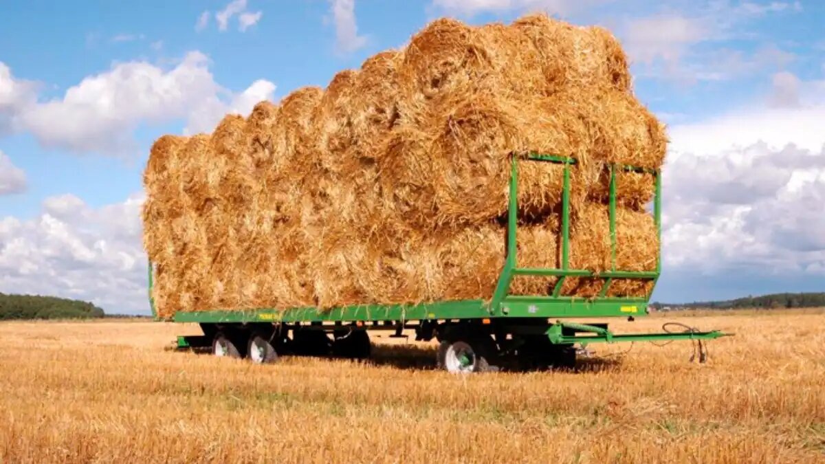 Фото: «АгроТехСфера» Обновленная прицеп-платформа Pronar T023