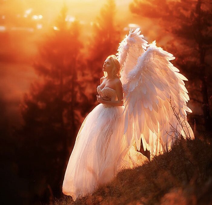 Яндекс фото