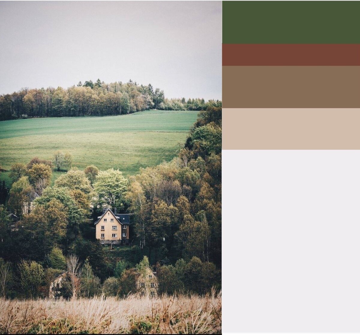 Палитра цветов, которую я выбрала с изображения.