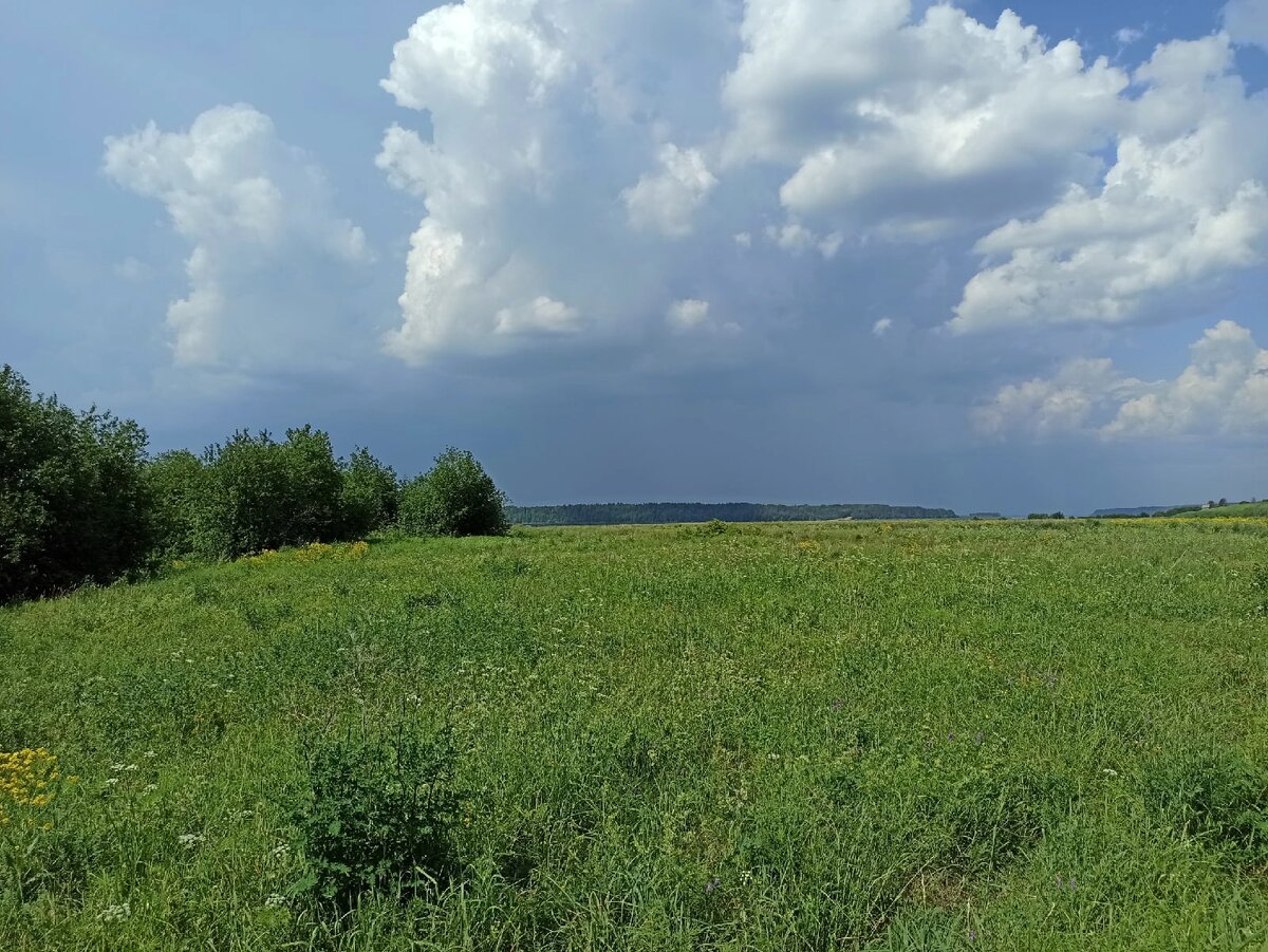 Небо над лугом кажется особо синим и бездонным. Фото автора.