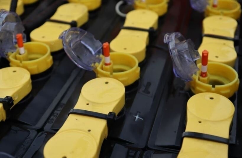 Почему ваш АКБ быстро «умрет»: 5 золотых правил зарядки | Рентаком | Дзен