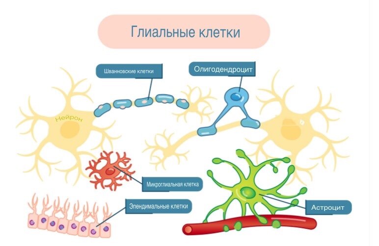 HTTP и HTTPS – разница между протоколами передачи – AWS