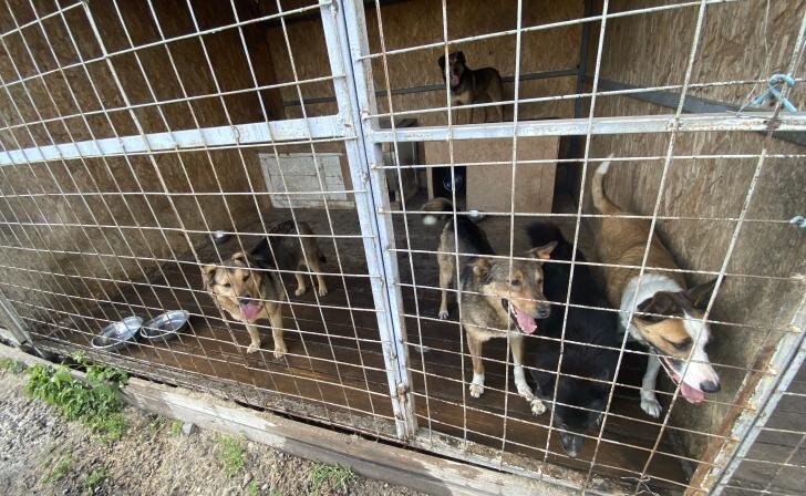    фото Курские известия