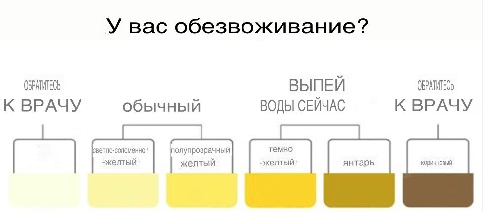 Изменение цвета мочи: возможные причины