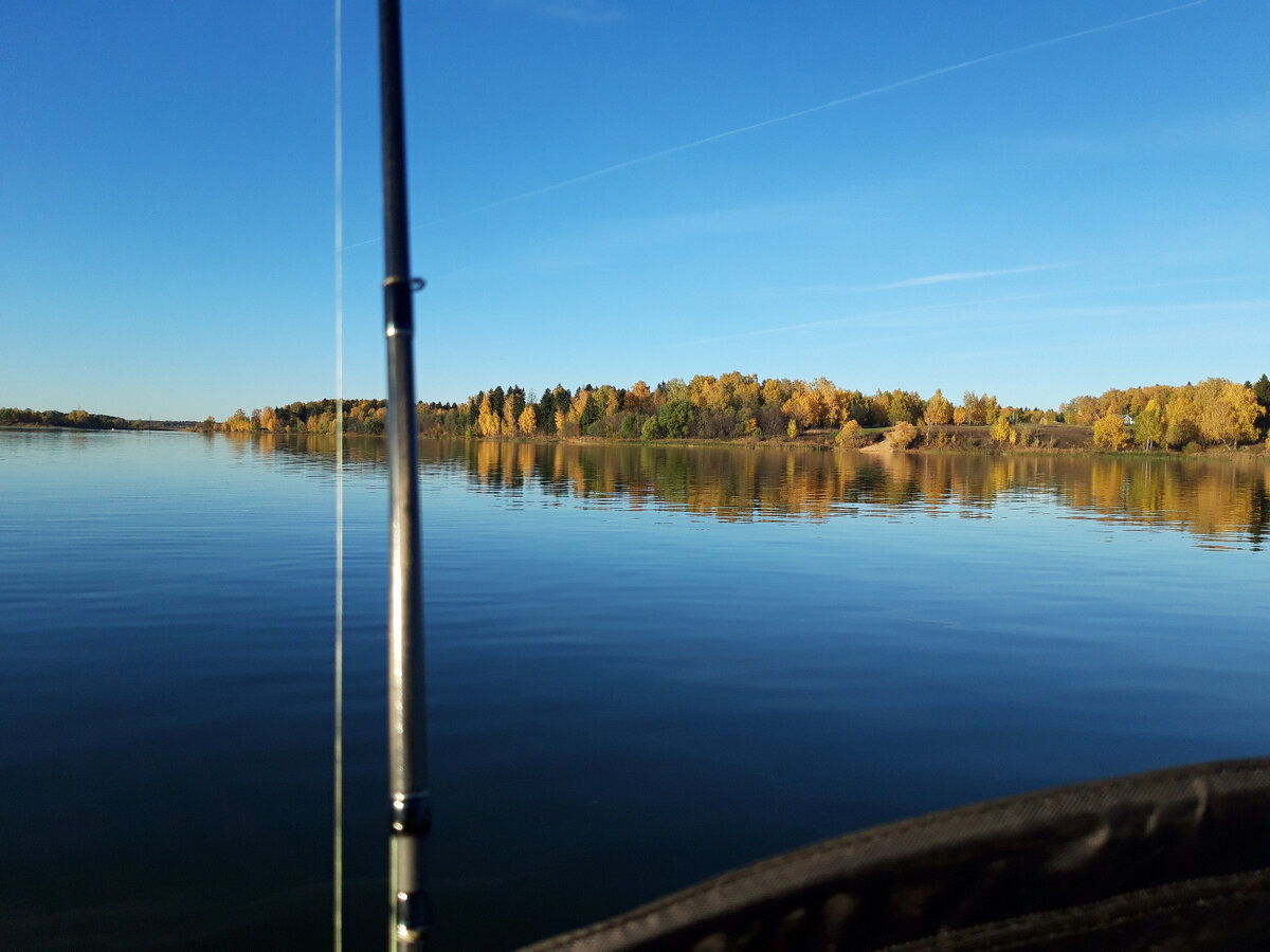 Отличный вид