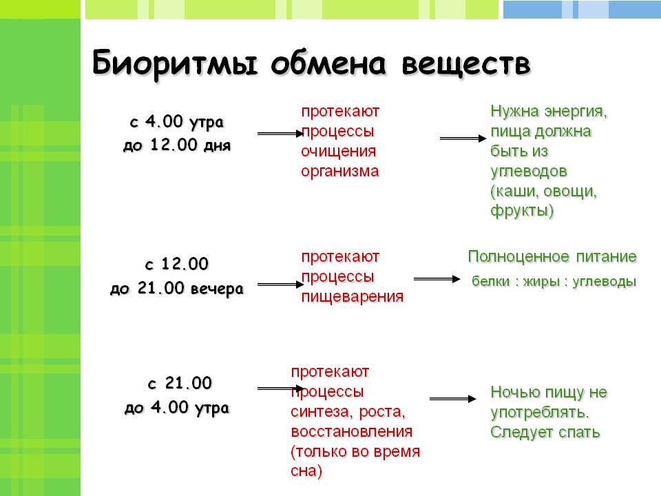 Суточные ритмы. Биоритмы. Биоритмы обмена веществ. Схема питания по биоритмам. Питание по биоритмам человека.