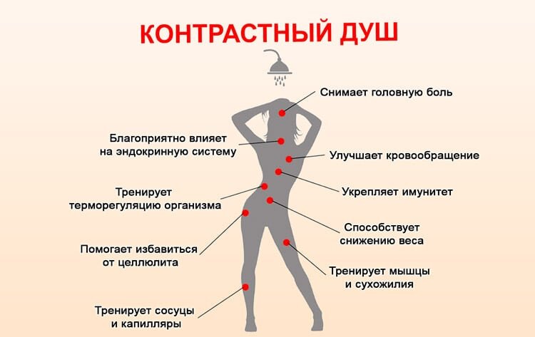 Стимуляция работы иммунной системы