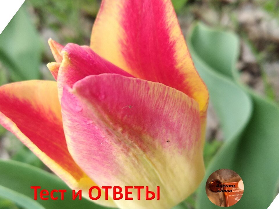 Доброе утро!