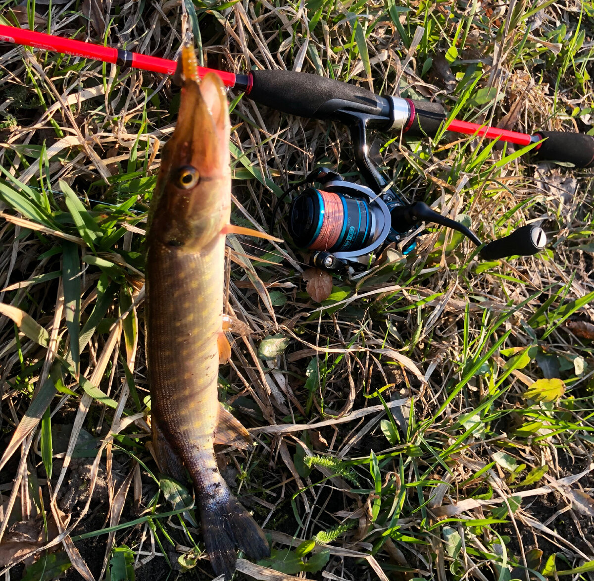 Щупачок, приманка Polaris 1,8 дюйма, грузик 2гр.