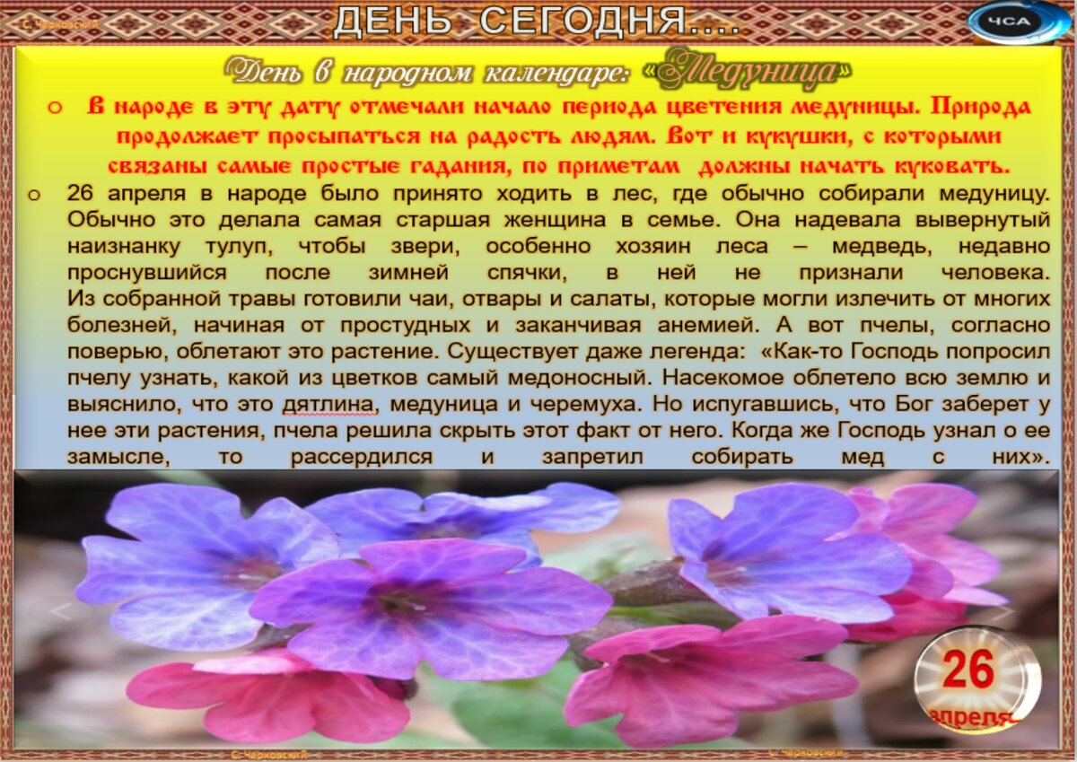 Приметы на 26 августа 2024 года. Приметы медуницы. Фомаида Медуница (народный праздник).. Народные приметы на 26 апреля. 26 Апреля Фомаида Медуница заячьи именины.