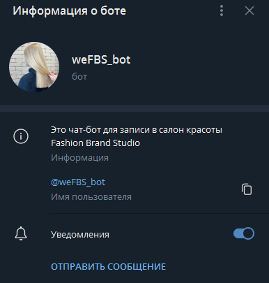 Чат-бот: общая информация