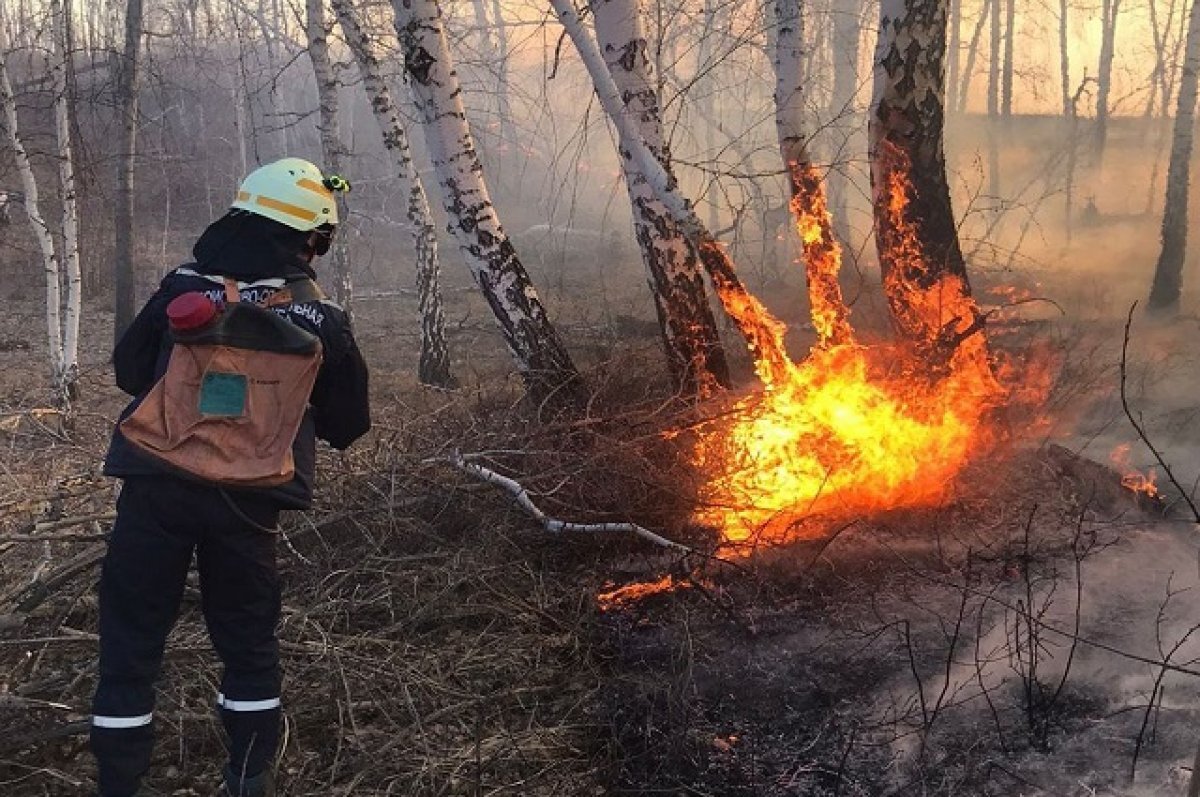    Свалка загорелась в Троицком районе Челябинской области