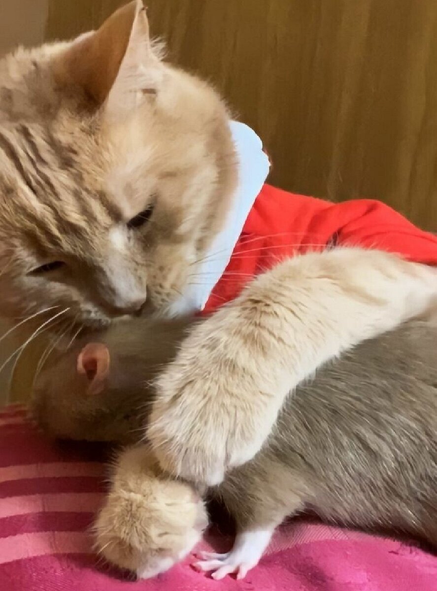 И такое случается