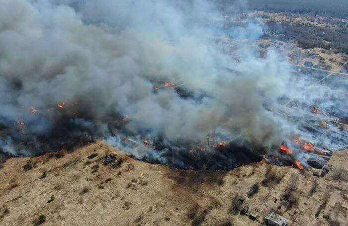    пресс-служба Росгвардии/ТАСС