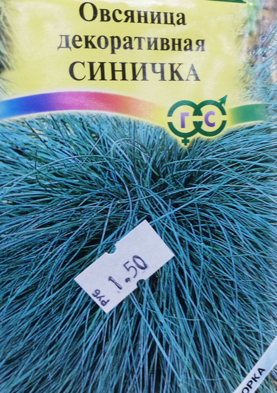 Овсяница сизая , цена 25 грн - купить Сад/огород новые - Клумба