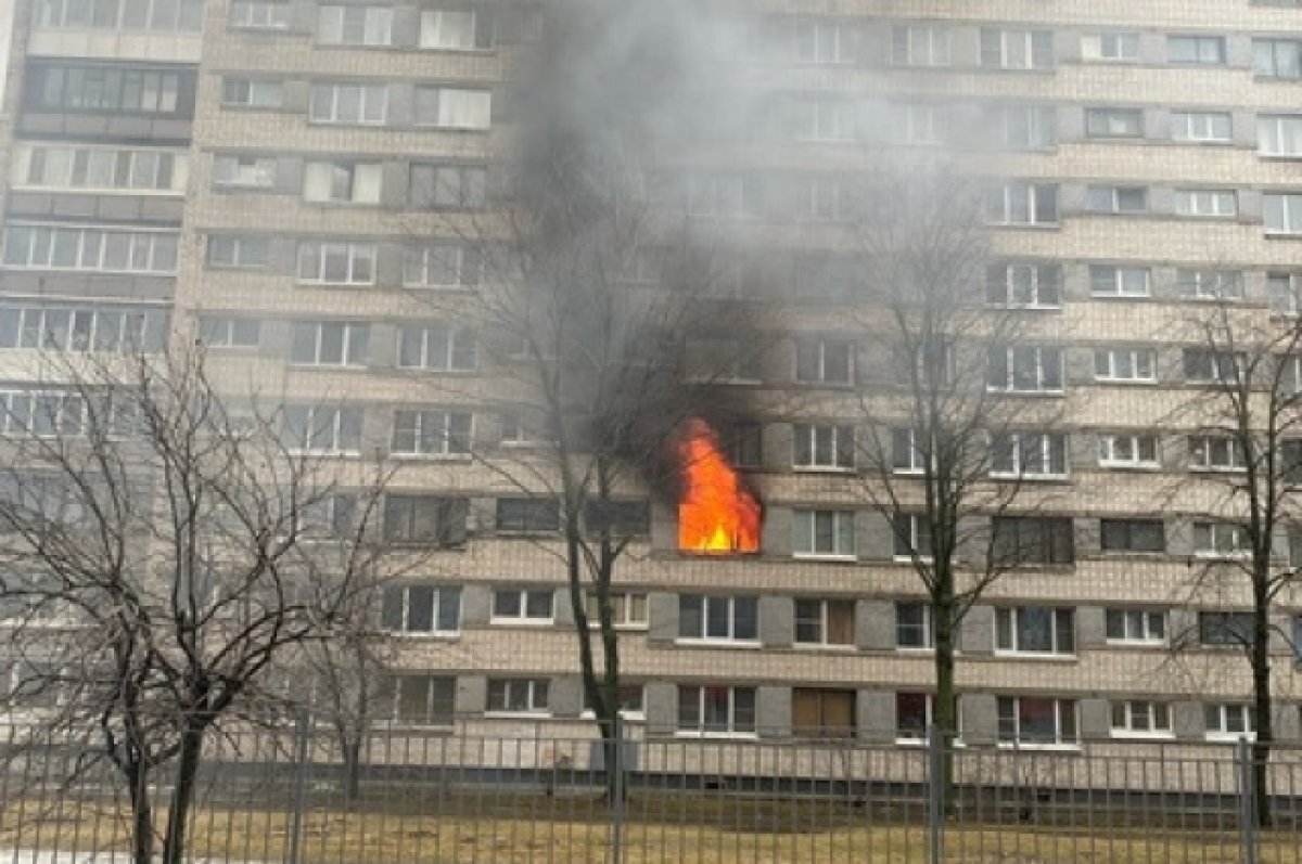    Стали известны районы Петербурга, где чаще всего происходят пожары