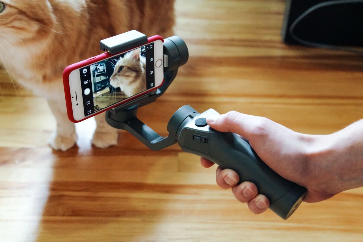 Стабилизатор в паре со смартфоном позволяют снять впечатляющие видео. Фото: Signe Brewster / nytimes.com