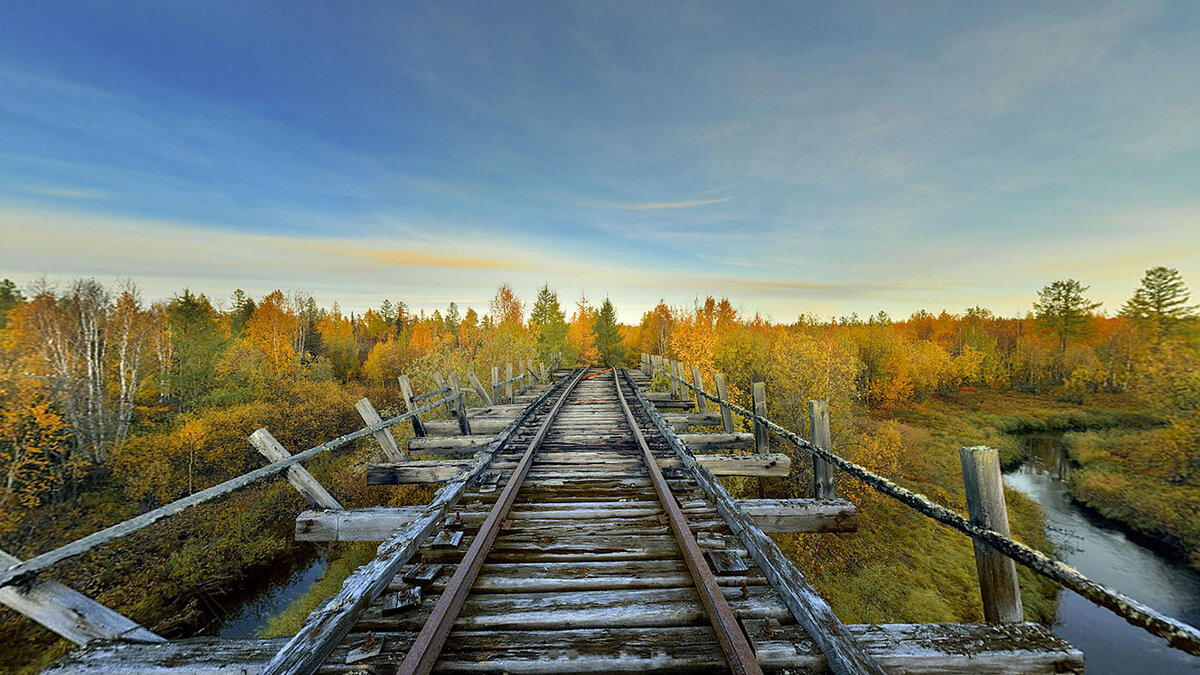 А может, затормозить?..