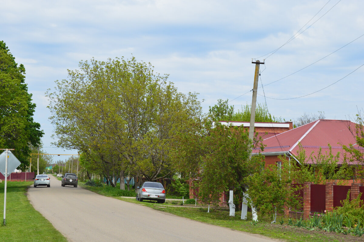 Фото автора. 27.04.2023. Весна пришла в станицу.