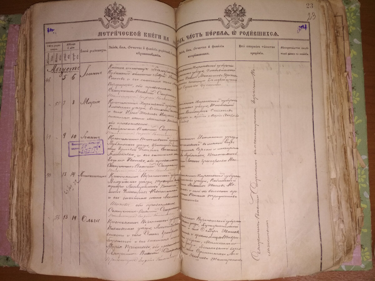 Разворот Метрической книги Успенской церкви станицы Белореченской за 1911-1919 годы