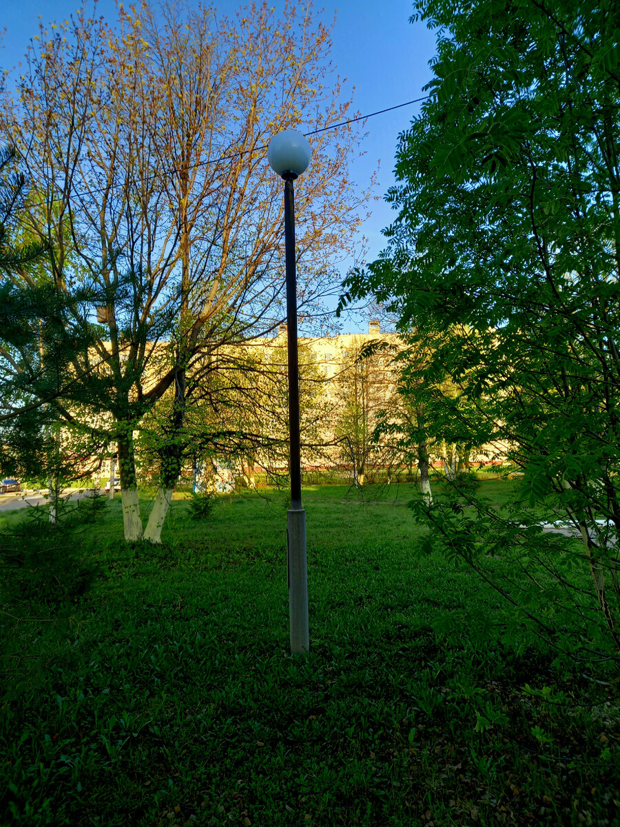 Фото автора.