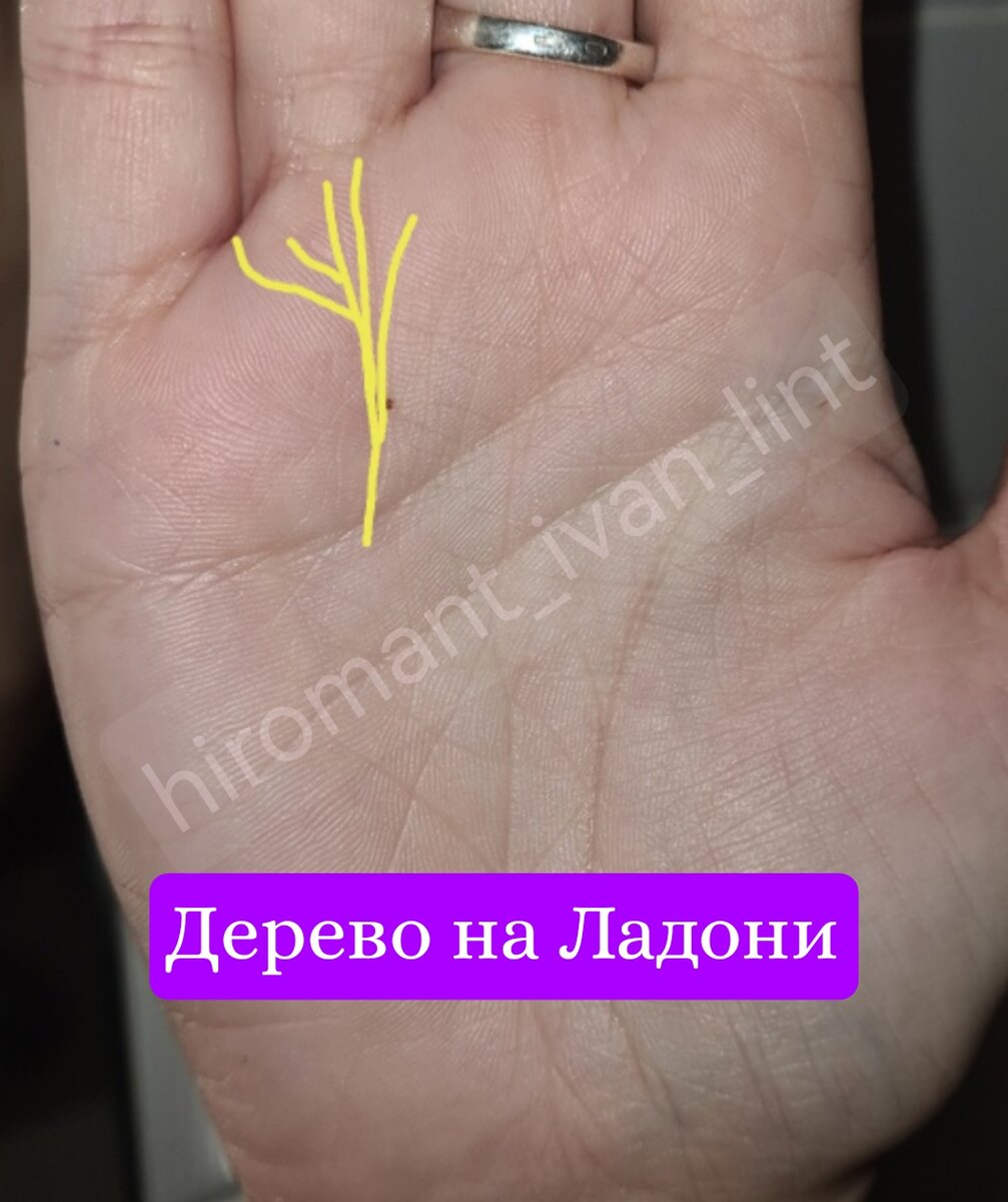 Знак Дерево 