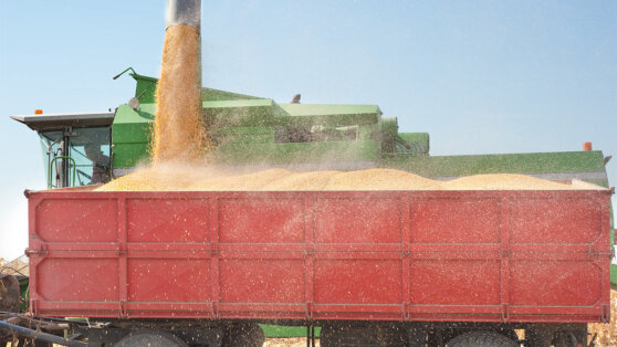    Песков: контакты по "зерновой сделке" продолжаются, но они не приносят результатов Ксения Пудовкина