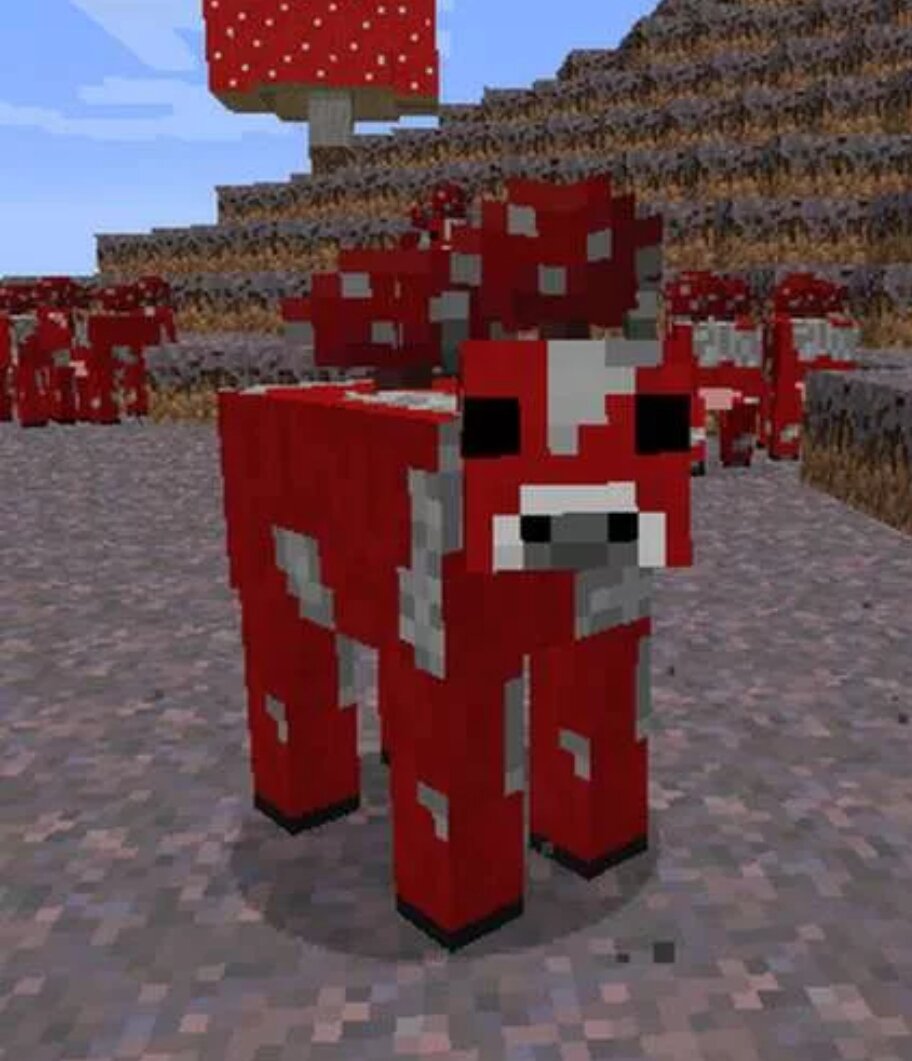 Пов: как я смотрю на дз(фото из открытых источников) 