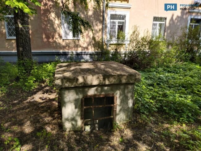 Фото: «Рязанские новости»