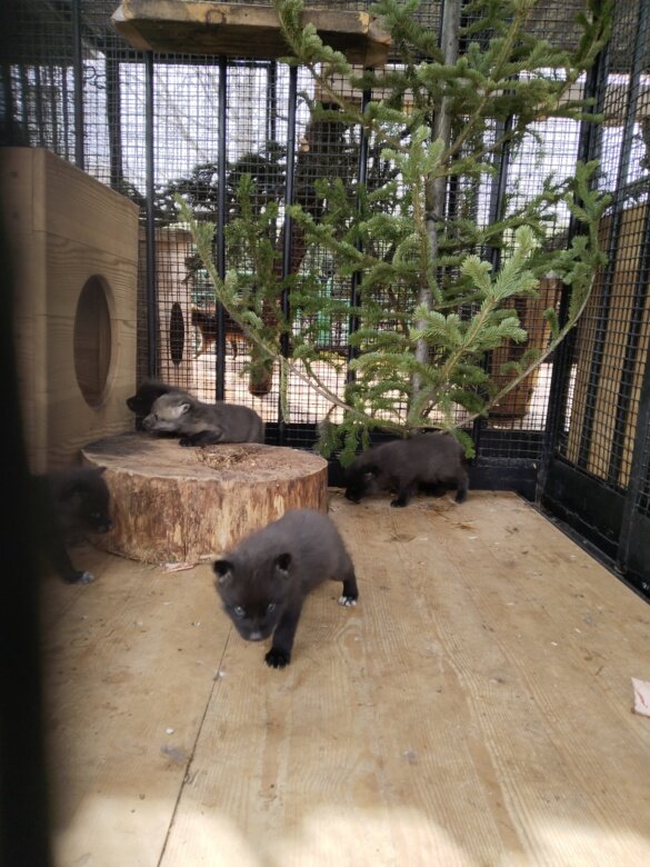 Листайте вправо, чтобы увидеть больше изображений