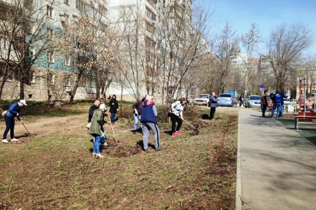    В Самаре в месячнике благоустройства участвовали более 390 тысяч человек