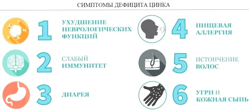 Значение белка в питании все что нужно знать об этом важном элементе