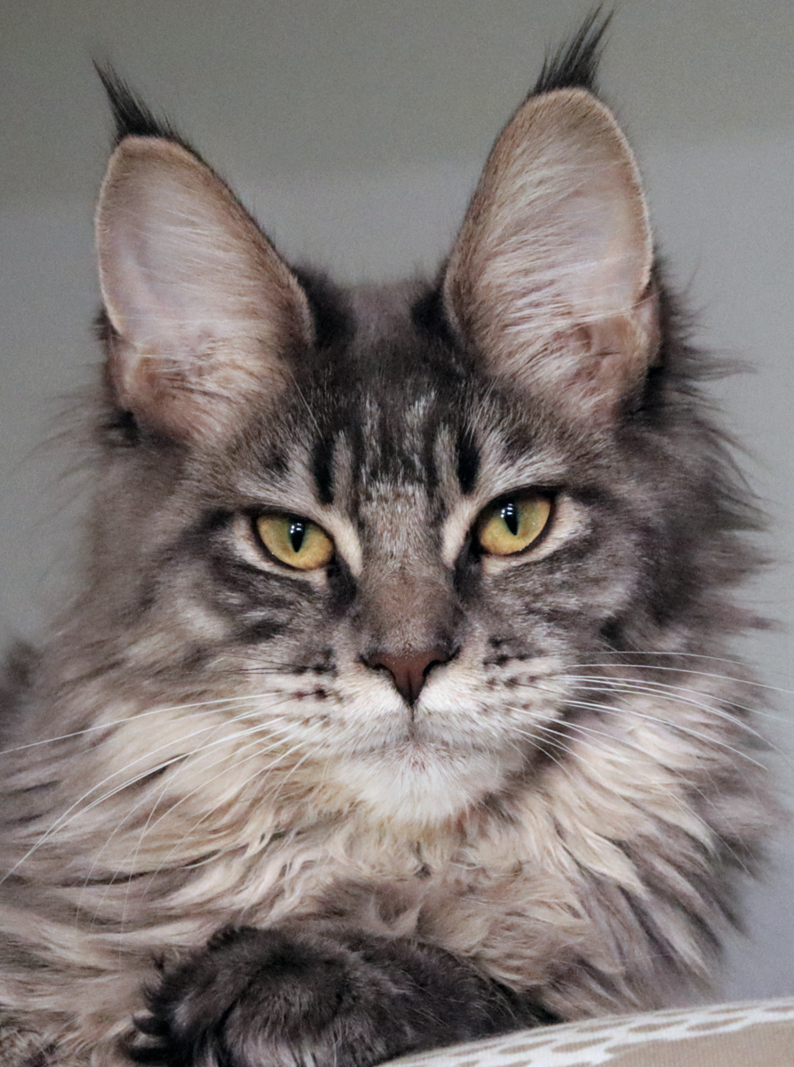 Фото из личного архива.