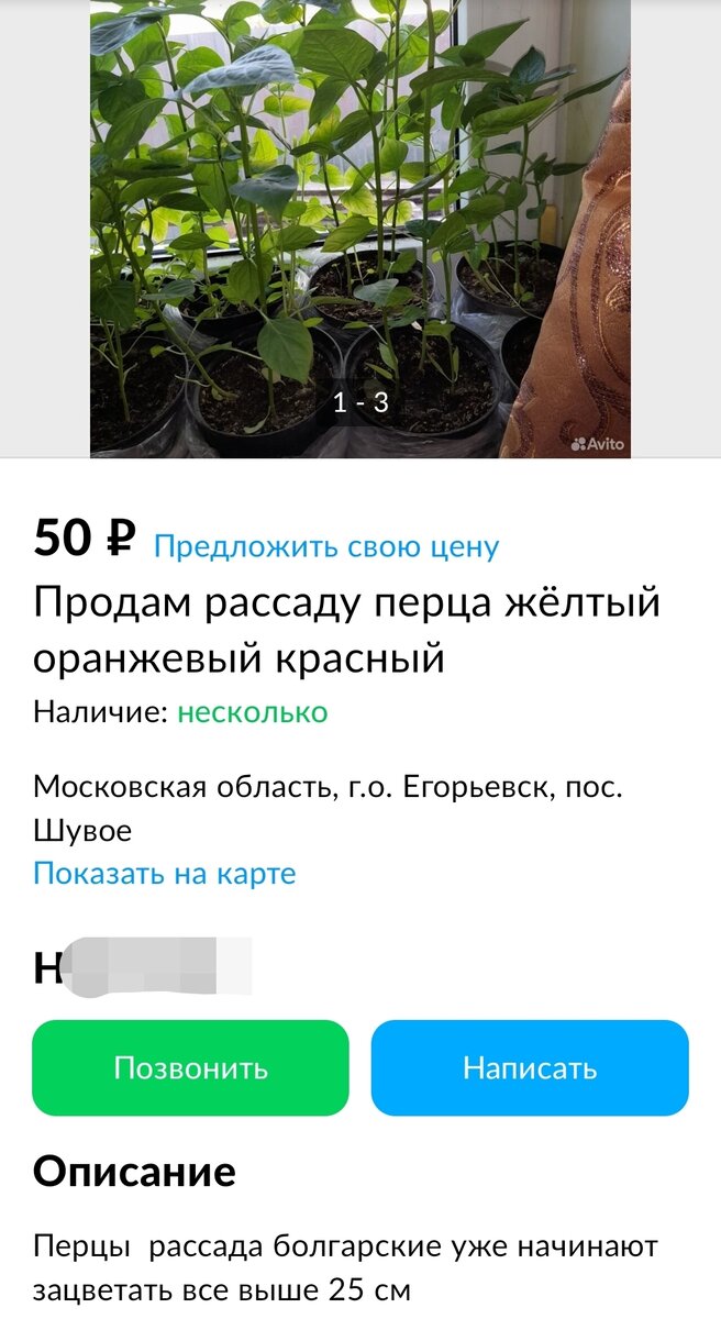 3600 руб | Как я продавала на Авито рассаду. И как ее не надо продавать |  Записки Авитоголика | Дзен