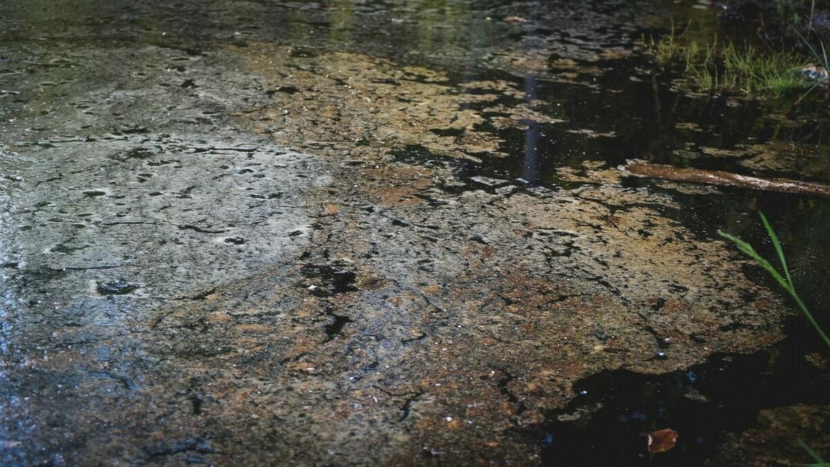     Сточные воды стекают в небольшое озеро балки имени адмирала Рябинина в Ростове, жалуются местные жители в соцсетях.