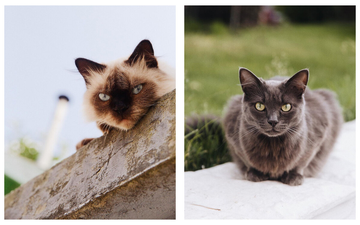 Геленджик, июнь 2021г