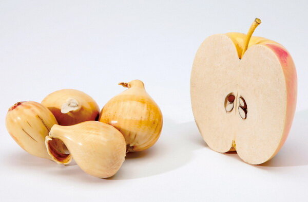 ������. ��������� ������ �� �����